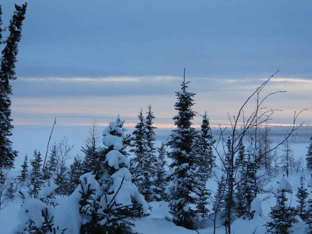 Man kann die Kälte auf dem Foto spüren