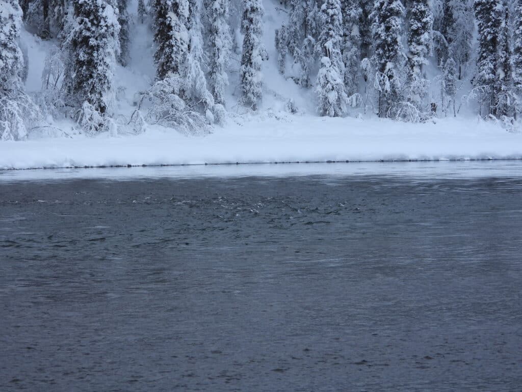 Zu den Ribeli müsste man hinkommen...
