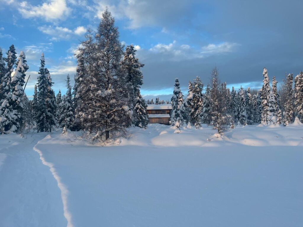 Hallo Hütte - noch ist alles verbarrikadiert