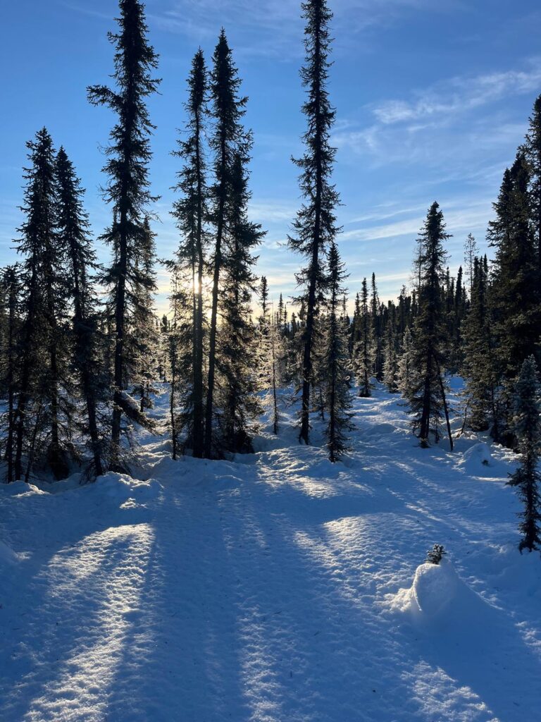 Schneeschuh-Spaziergang