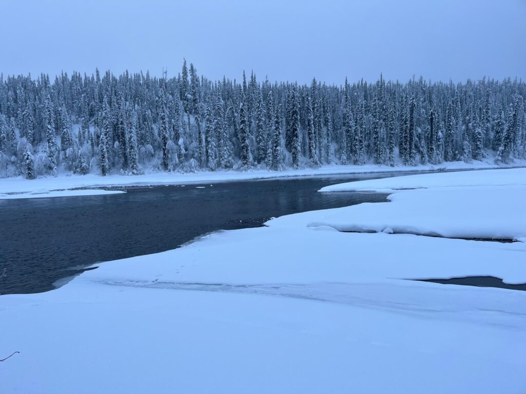 Hier wäre ihr Fischer-Spot gewesen...