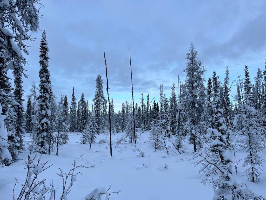 Auf dem Heimweg klart es wirklich nochmals auf (kurz bevor es dunkel wird ☺️)