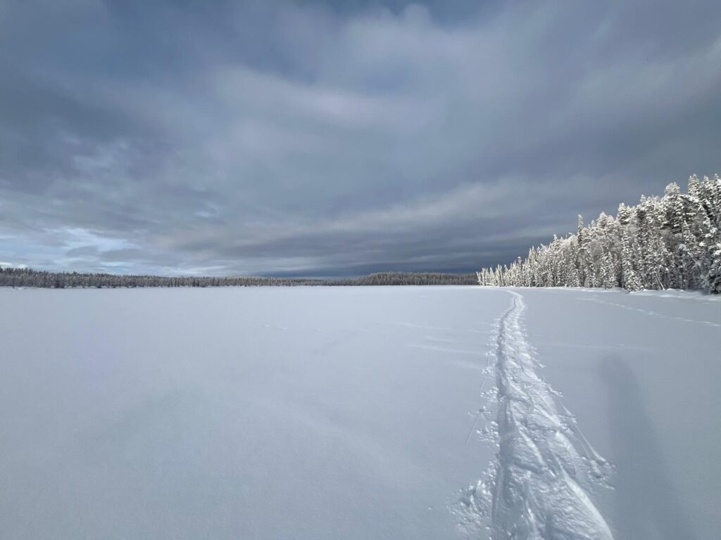 Blick zurück in die Weite...