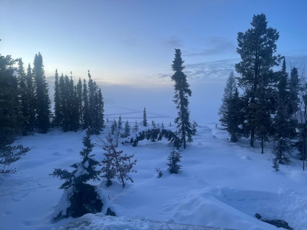 Aus dem warmen Bett den Morgen-Nebel bewundern